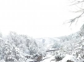 雪化粧❄️美しい景色を見に行きました！！